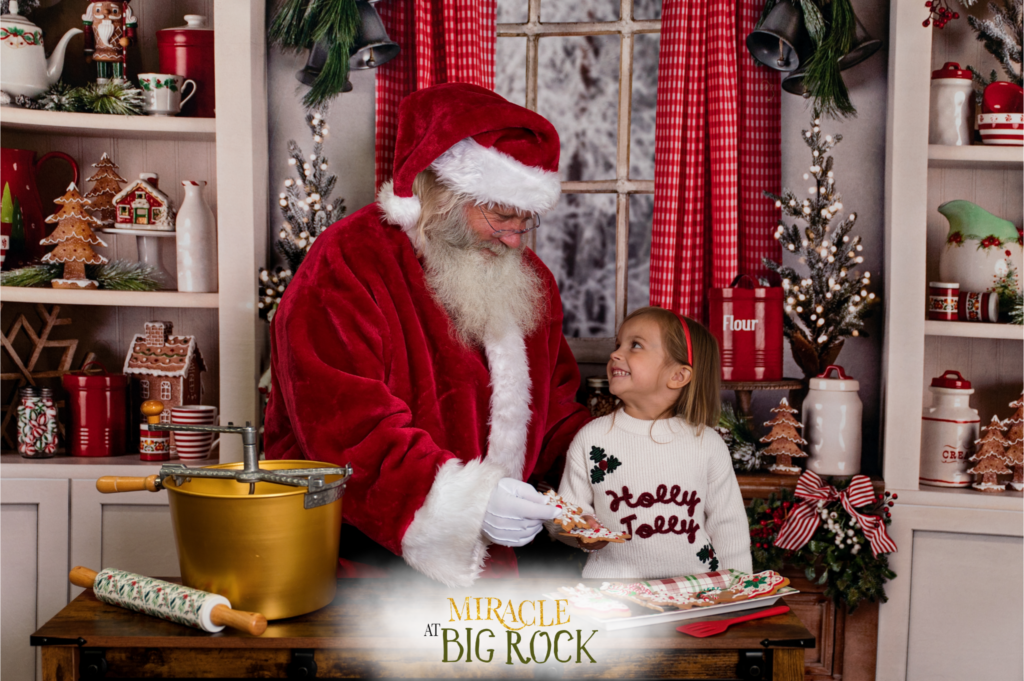 Santa in a decorated holiday scene
