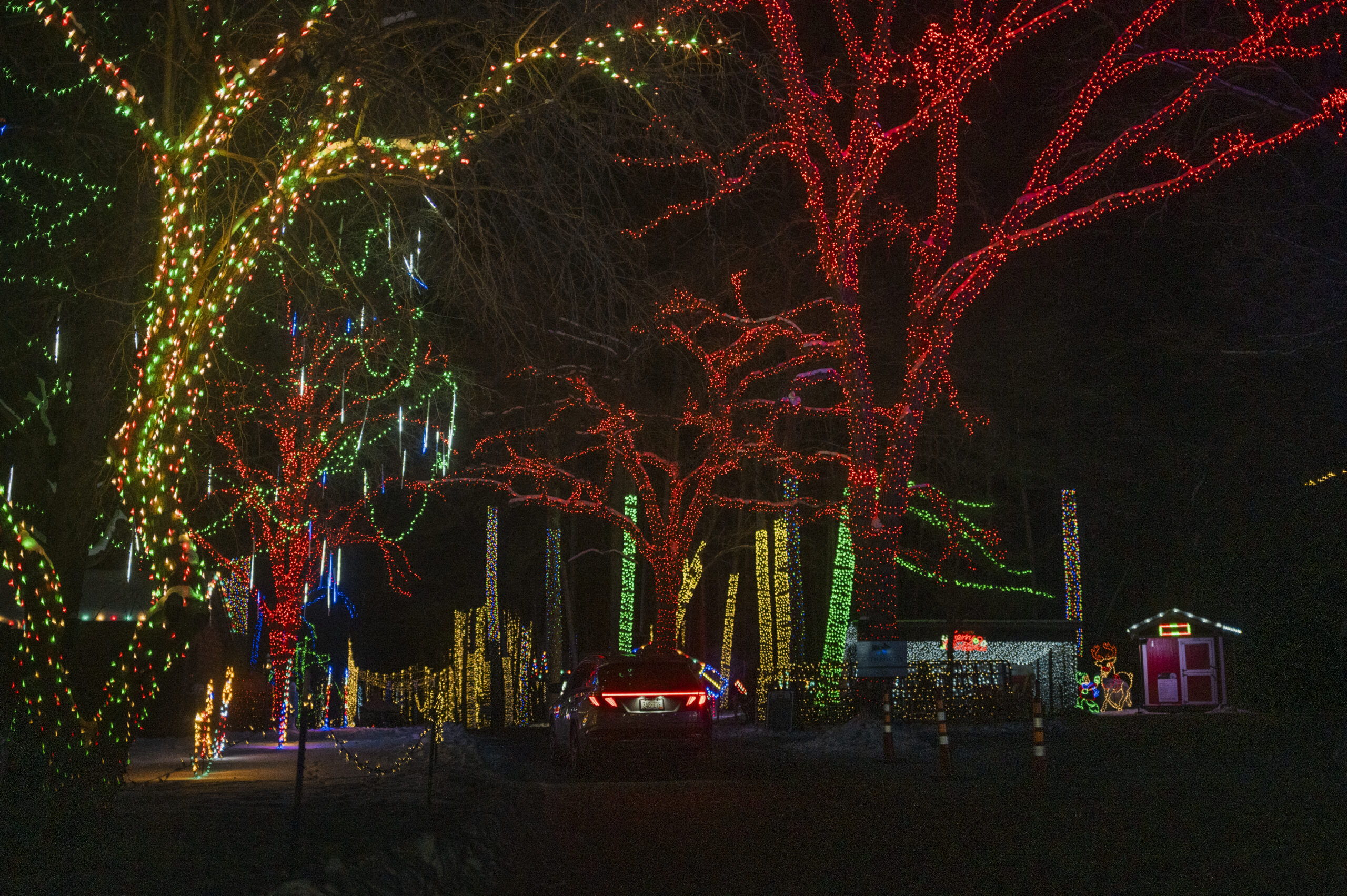 Drive-through Christmas lights, 2